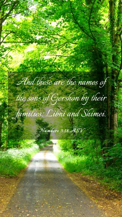 Picture 03 - Numbers 3:18 ASV Mobile Phone Wallpaper - And these are the names of the sons of Gershon by - Mobile Bible Verse Wallpaper