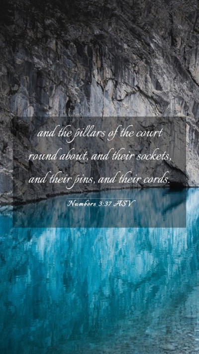 Picture 03 - Numbers 3:37 ASV Mobile Phone Wallpaper - and the pillars of the court round about, and - Mobile Bible Verse Wallpaper