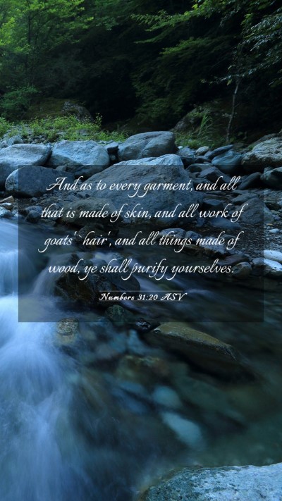 Picture 03 - Numbers 31:20 ASV Mobile Phone Wallpaper - And as to every garment, and all that is made of - Mobile Bible Verse Wallpaper