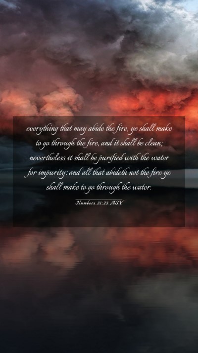 Picture 03 - Numbers 31:23 ASV Mobile Phone Wallpaper - everything that may abide the fire, ye shall make - Mobile Bible Verse Wallpaper