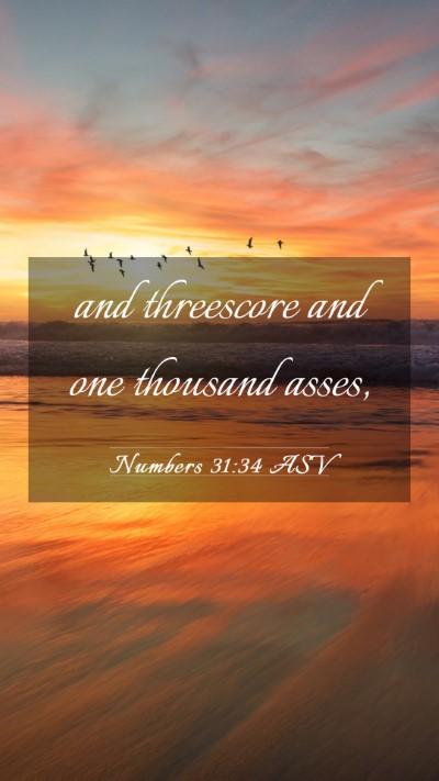 Picture 03 - Numbers 31:34 ASV Mobile Phone Wallpaper - and threescore and one thousand - Mobile Bible Verse Wallpaper