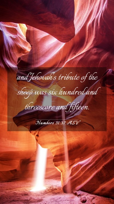 Picture 03 - Numbers 31:37 ASV Mobile Phone Wallpaper - and Jehovah's tribute of the sheep was six - Mobile Bible Verse Wallpaper