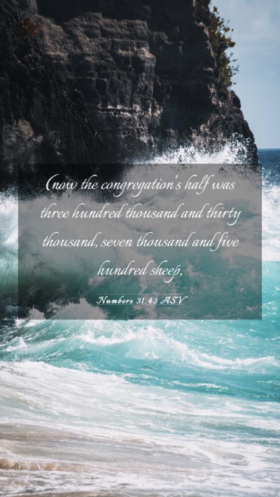Picture 03 - Numbers 31:43 ASV Mobile Phone Wallpaper - (now the congregation's half was three hundred - Mobile Bible Verse Wallpaper