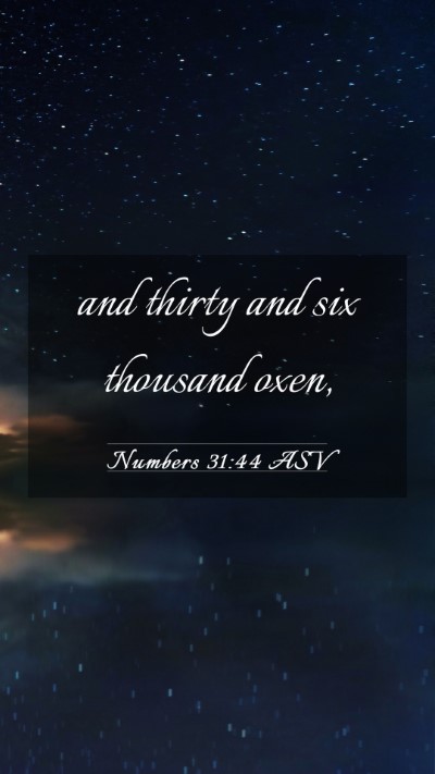 Picture 03 - Numbers 31:44 ASV Mobile Phone Wallpaper - and thirty and six thousand - Mobile Bible Verse Wallpaper