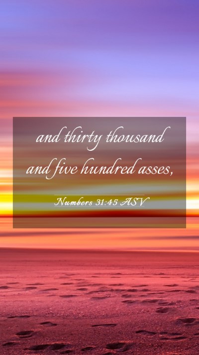 Picture 03 - Numbers 31:45 ASV Mobile Phone Wallpaper - and thirty thousand and five hundred - Mobile Bible Verse Wallpaper