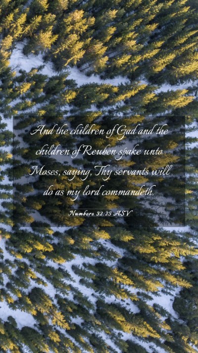 Picture 03 - Numbers 32:25 ASV Mobile Phone Wallpaper - And the children of Gad and the children of - Mobile Bible Verse Wallpaper