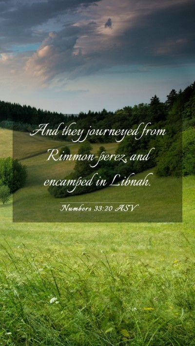 Picture 03 - Numbers 33:20 ASV Mobile Phone Wallpaper - And they journeyed from Rimmon-perez, and - Mobile Bible Verse Wallpaper