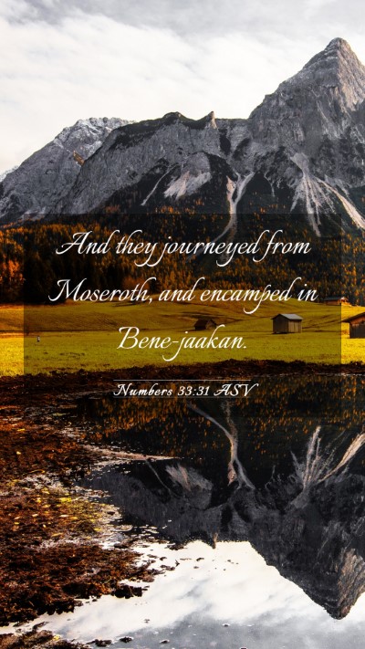 Picture 03 - Numbers 33:31 ASV Mobile Phone Wallpaper - And they journeyed from Moseroth, and encamped in - Mobile Bible Verse Wallpaper