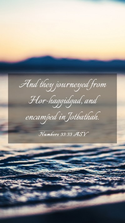 Picture 03 - Numbers 33:33 ASV Mobile Phone Wallpaper - And they journeyed from Hor-haggidgad, and - Mobile Bible Verse Wallpaper