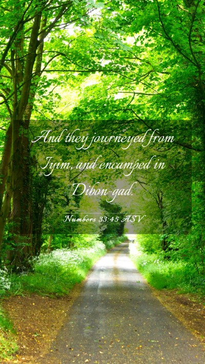 Picture 03 - Numbers 33:45 ASV Mobile Phone Wallpaper - And they journeyed from Iyim, and encamped in - Mobile Bible Verse Wallpaper