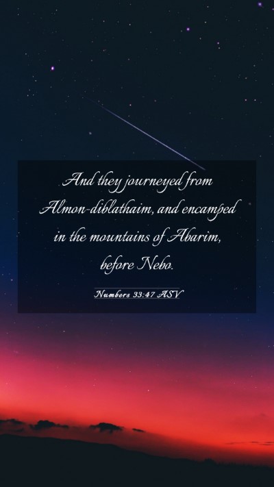 Picture 03 - Numbers 33:47 ASV Mobile Phone Wallpaper - And they journeyed from Almon-diblathaim, and - Mobile Bible Verse Wallpaper