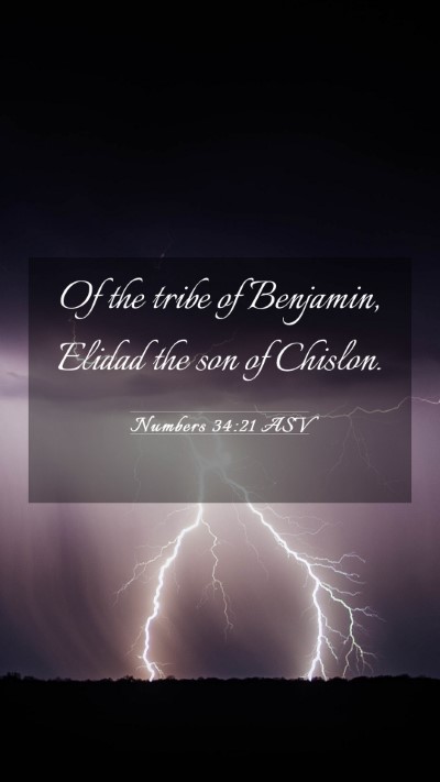 Picture 03 - Numbers 34:21 ASV Mobile Phone Wallpaper - Of the tribe of Benjamin, Elidad the son of - Mobile Bible Verse Wallpaper