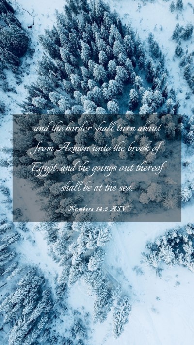 Picture 03 - Numbers 34:5 ASV Mobile Phone Wallpaper - and the border shall turn about from Azmon unto - Mobile Bible Verse Wallpaper