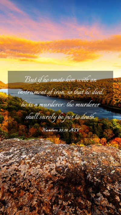 Picture 03 - Numbers 35:16 ASV Mobile Phone Wallpaper - But if he smote him with an instrument of iron, - Mobile Bible Verse Wallpaper