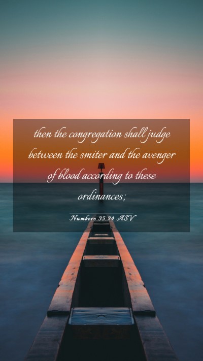 Picture 03 - Numbers 35:24 ASV Mobile Phone Wallpaper - then the congregation shall judge between the - Mobile Bible Verse Wallpaper