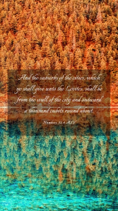 Picture 03 - Numbers 35:4 ASV Mobile Phone Wallpaper - And the suburbs of the cities, which ye shall - Mobile Bible Verse Wallpaper