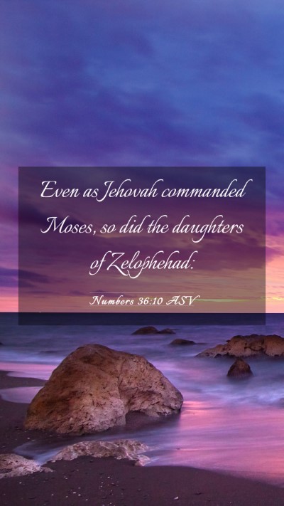 Picture 03 - Numbers 36:10 ASV Mobile Phone Wallpaper - Even as Jehovah commanded Moses, so did the - Mobile Bible Verse Wallpaper