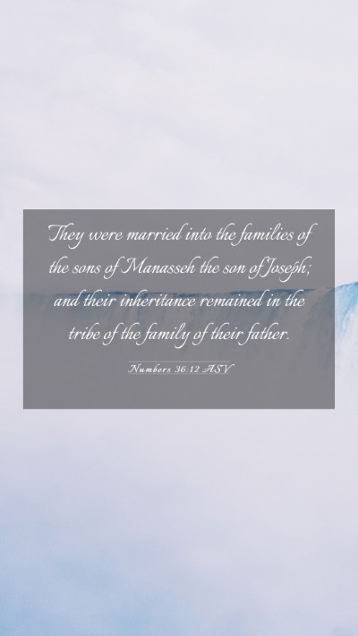Picture 03 - Numbers 36:12 ASV Mobile Phone Wallpaper - They were married into the families of the sons - Mobile Bible Verse Wallpaper