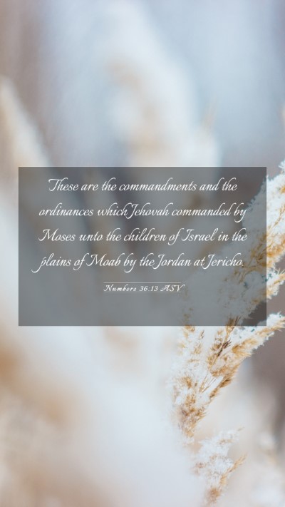 Picture 03 - Numbers 36:13 ASV Mobile Phone Wallpaper - These are the commandments and the ordinances - Mobile Bible Verse Wallpaper