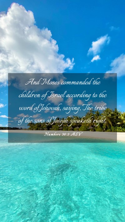 Picture 03 - Numbers 36:5 ASV Mobile Phone Wallpaper - And Moses commanded the children of Israel - Mobile Bible Verse Wallpaper