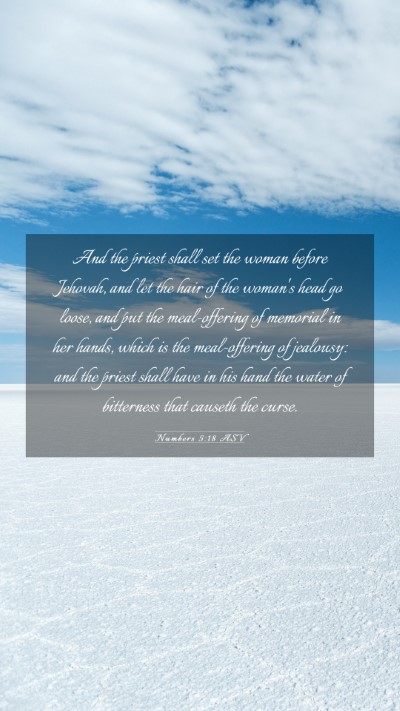 Picture 03 - Numbers 5:18 ASV Mobile Phone Wallpaper - And the priest shall set the woman before - Mobile Bible Verse Wallpaper
