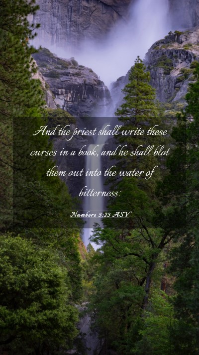 Picture 03 - Numbers 5:23 ASV Mobile Phone Wallpaper - And the priest shall write these curses in a - Mobile Bible Verse Wallpaper