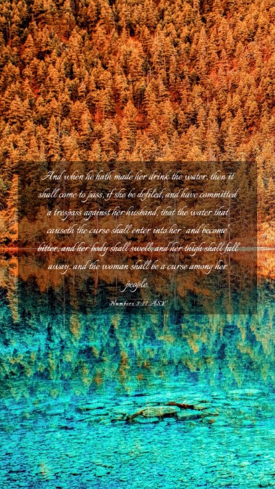 Picture 03 - Numbers 5:27 ASV Mobile Phone Wallpaper - And when he hath made her drink the water, then - Mobile Bible Verse Wallpaper