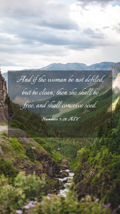 Picture 03 - Numbers 5:28 ASV Mobile Phone Wallpaper - And if the woman be not defiled, but be clean; - Mobile Bible Verse Wallpaper