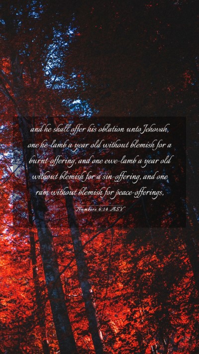 Picture 03 - Numbers 6:14 ASV Mobile Phone Wallpaper - and he shall offer his oblation unto Jehovah, one - Mobile Bible Verse Wallpaper
