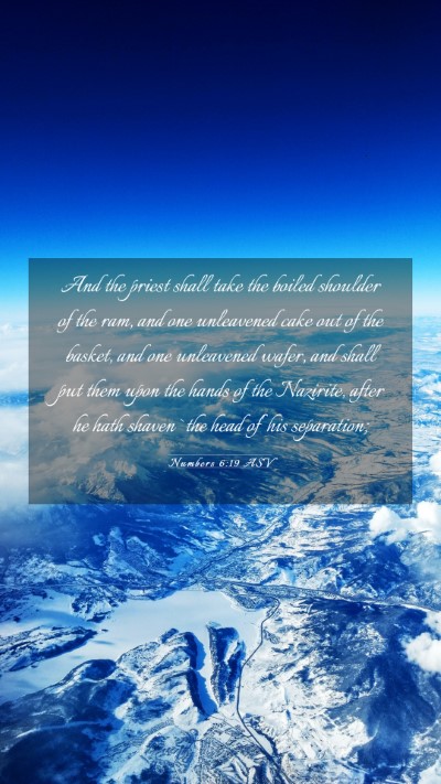 Picture 03 - Numbers 6:19 ASV Mobile Phone Wallpaper - And the priest shall take the boiled shoulder of - Mobile Bible Verse Wallpaper