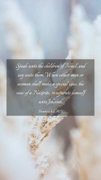 Picture 03 - Numbers 6:2 ASV Mobile Phone Wallpaper - Speak unto the children of Israel, and say unto - Mobile Bible Verse Wallpaper