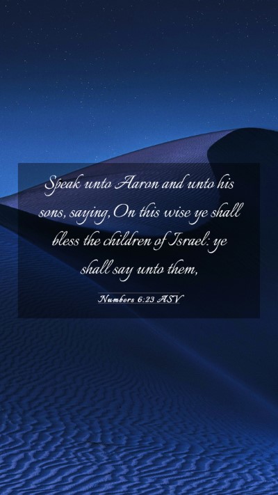 Picture 03 - Numbers 6:23 ASV Mobile Phone Wallpaper - Speak unto Aaron and unto his sons, saying, On - Mobile Bible Verse Wallpaper