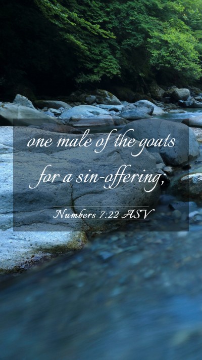 Picture 03 - Numbers 7:22 ASV Mobile Phone Wallpaper - one male of the goats for a - Mobile Bible Verse Wallpaper