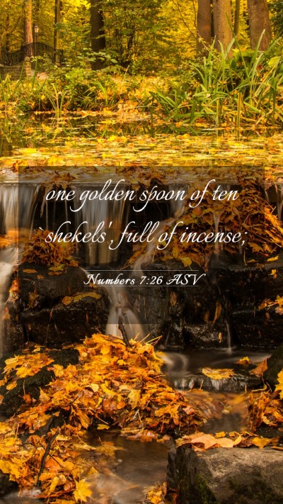 Picture 03 - Numbers 7:26 ASV Mobile Phone Wallpaper - one golden spoon of ten `shekels', full of - Mobile Bible Verse Wallpaper