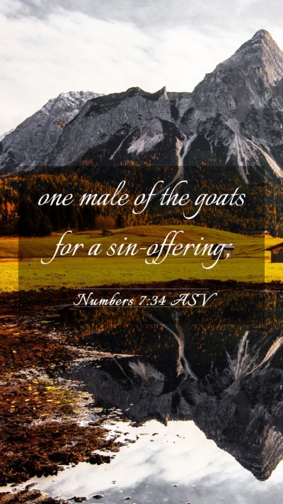 Picture 03 - Numbers 7:34 ASV Mobile Phone Wallpaper - one male of the goats for a - Mobile Bible Verse Wallpaper