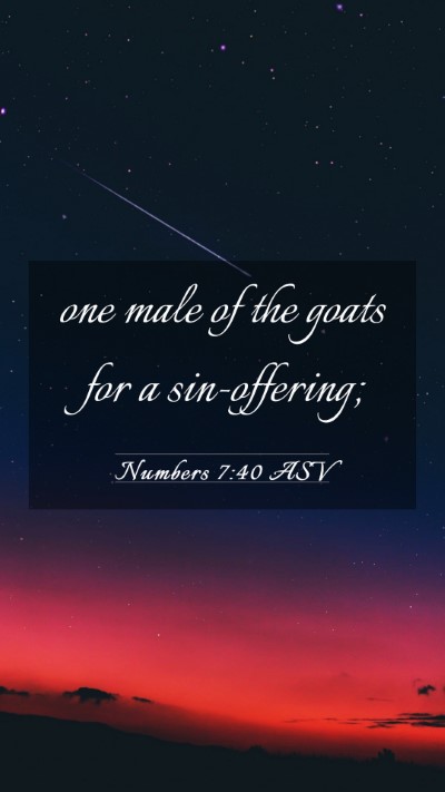 Picture 03 - Numbers 7:40 ASV Mobile Phone Wallpaper - one male of the goats for a - Mobile Bible Verse Wallpaper