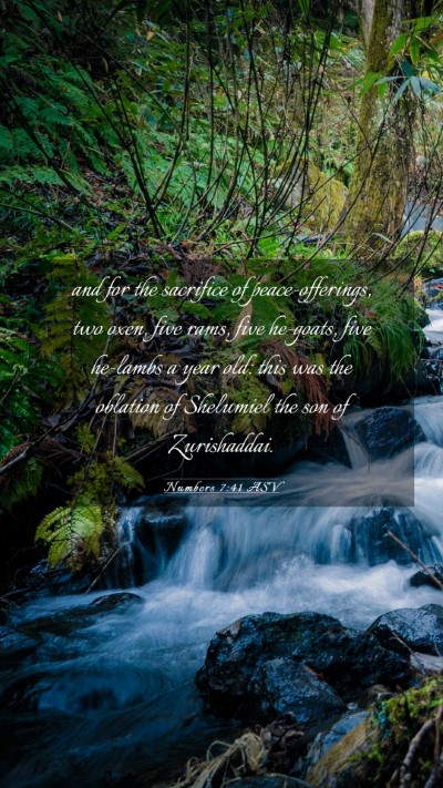 Picture 03 - Numbers 7:41 ASV Mobile Phone Wallpaper - and for the sacrifice of peace-offerings, two - Mobile Bible Verse Wallpaper
