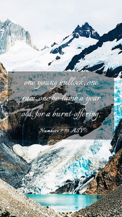 Picture 03 - Numbers 7:75 ASV Mobile Phone Wallpaper - one young bullock, one ram, one he-lamb a year - Mobile Bible Verse Wallpaper