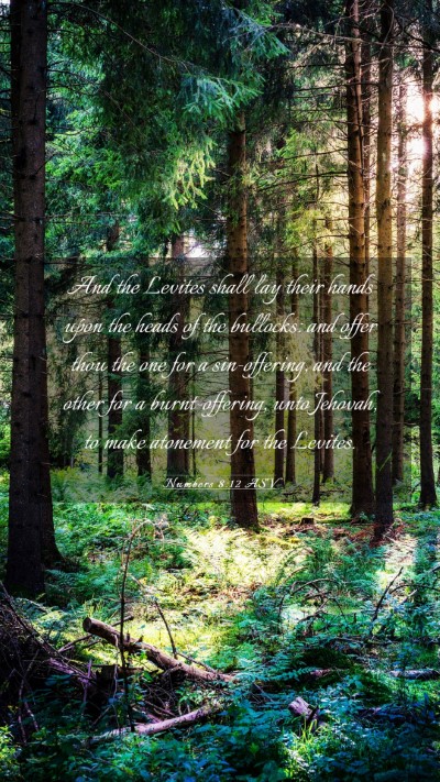 Picture 03 - Numbers 8:12 ASV Mobile Phone Wallpaper - And the Levites shall lay their hands upon the - Mobile Bible Verse Wallpaper