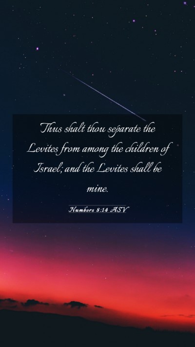Picture 03 - Numbers 8:14 ASV Mobile Phone Wallpaper - Thus shalt thou separate the Levites from among - Mobile Bible Verse Wallpaper
