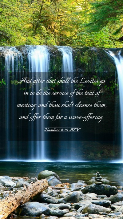 Picture 03 - Numbers 8:15 ASV Mobile Phone Wallpaper - And after that shall the Levites go in to do the - Mobile Bible Verse Wallpaper