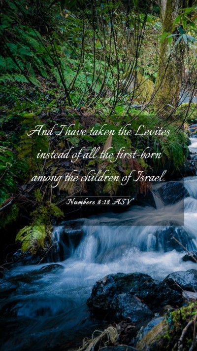 Picture 03 - Numbers 8:18 ASV Mobile Phone Wallpaper - And I have taken the Levites instead of all the - Mobile Bible Verse Wallpaper