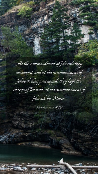 Picture 03 - Numbers 9:23 ASV Mobile Phone Wallpaper - At the commandment of Jehovah they encamped, and - Mobile Bible Verse Wallpaper