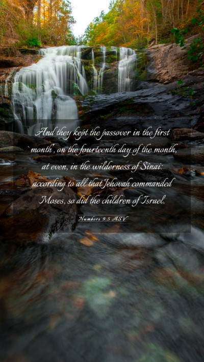 Picture 03 - Numbers 9:5 ASV Mobile Phone Wallpaper - And they kept the passover in the first `month', - Mobile Bible Verse Wallpaper
