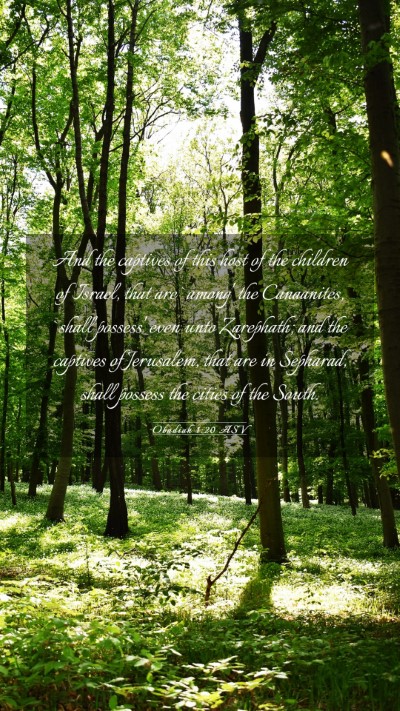 Picture 03 - Obadiah 1:20 ASV Mobile Phone Wallpaper - And the captives of this host of the children of - Mobile Bible Verse Wallpaper