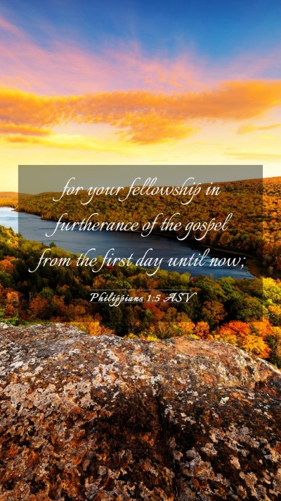 Picture 03 - Philippians 1:5 ASV Mobile Phone Wallpaper - for your fellowship in furtherance of the gospel - Mobile Bible Verse Wallpaper