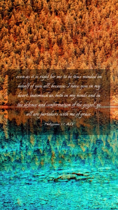 Picture 03 - Philippians 1:7 ASV Mobile Phone Wallpaper - even as it is right for me to be thus minded on - Mobile Bible Verse Wallpaper