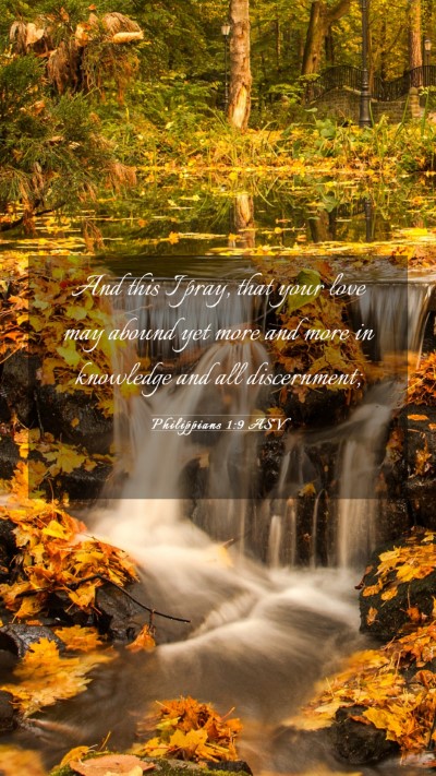 Picture 03 - Philippians 1:9 ASV Mobile Phone Wallpaper - And this I pray, that your love may abound yet - Mobile Bible Verse Wallpaper