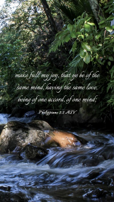 Picture 03 - Philippians 2:2 ASV Mobile Phone Wallpaper - make full my joy, that ye be of the same mind, - Mobile Bible Verse Wallpaper