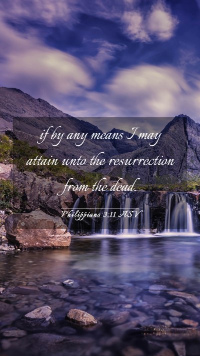 Picture 03 - Philippians 3:11 ASV Mobile Phone Wallpaper - if by any means I may attain unto the - Mobile Bible Verse Wallpaper